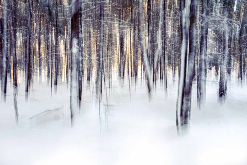 Forest photography from Maine: blurred snowy forest at sunset